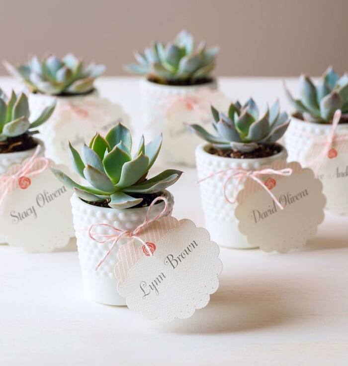 Succulents Wedding Favors