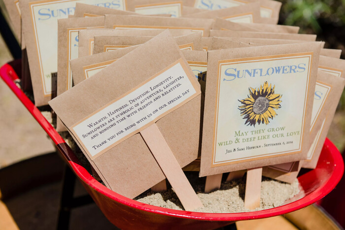 Flower Seed Collections - Bridal Shower Favor