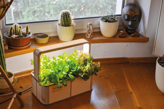 Smart Indoor Garden 