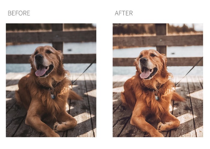 Editing tips for pet photography