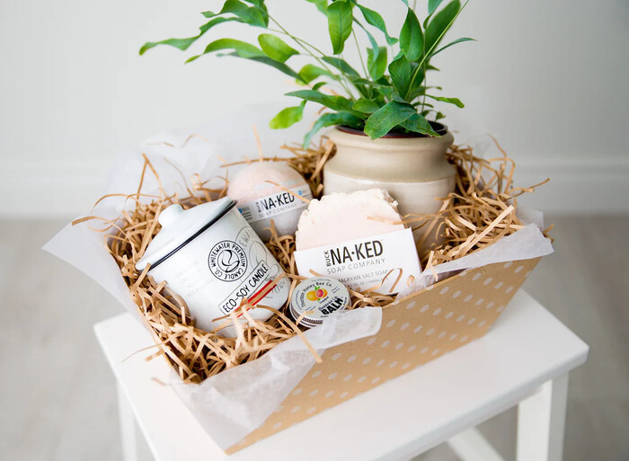 Gift Basket with Plants