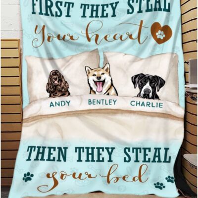 funny dog blanket gift idea for dog lovers 04
