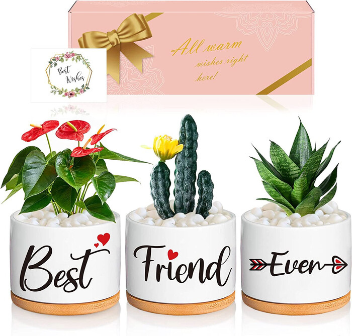 Best Wedding Gifts for Friends in 2023 Will Warm Their Hearts – Hunny Life-gemektower.com.vn