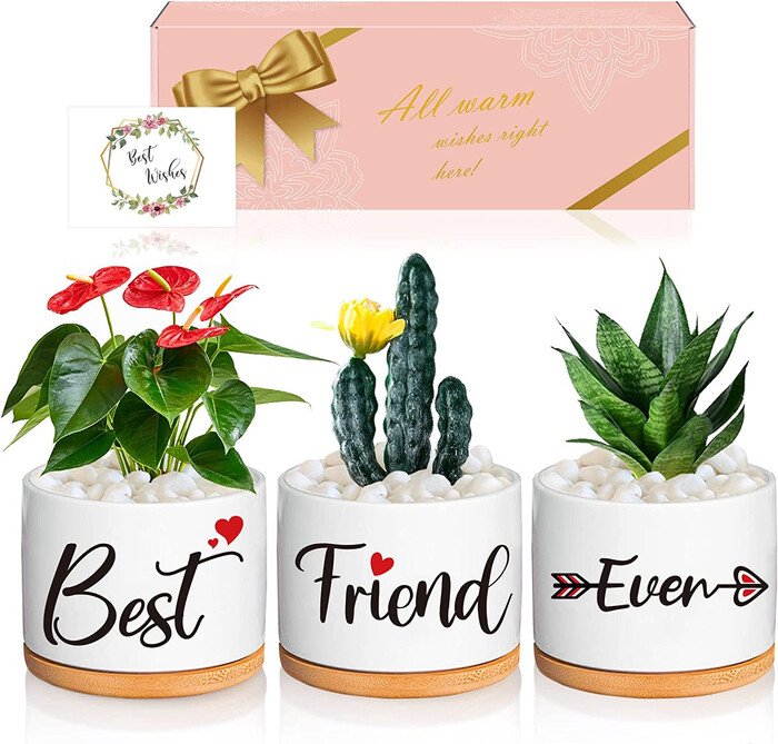 Best Friend Ever Succulent Pots - Best Wedding Gifts For Friends