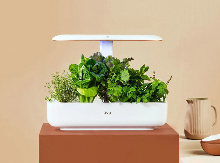 Smart Garden - Best Wedding Gifts For Friends