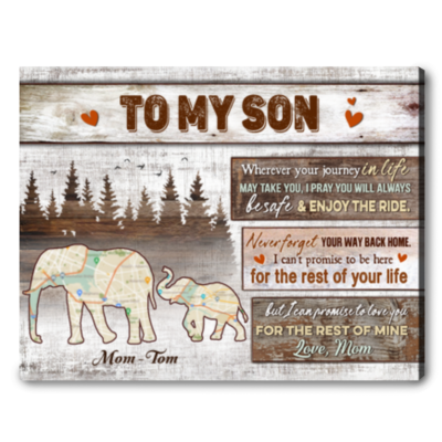 elephant motherhood canvas print gift for son from mother 01