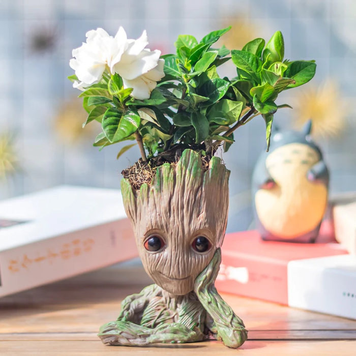 Groot Planter 