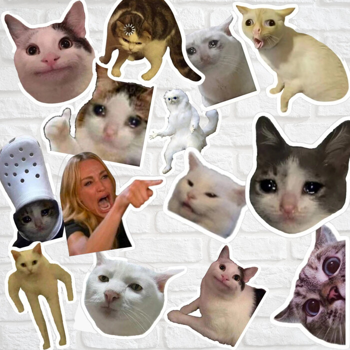 Pack Of Cat Meme Stickers