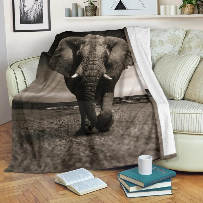 Gift ideas best sale for elephant lovers