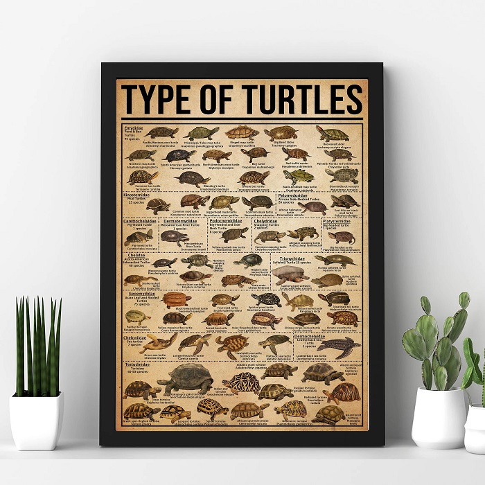 Gifts For Turtle Lovers - Turtle Poster Type