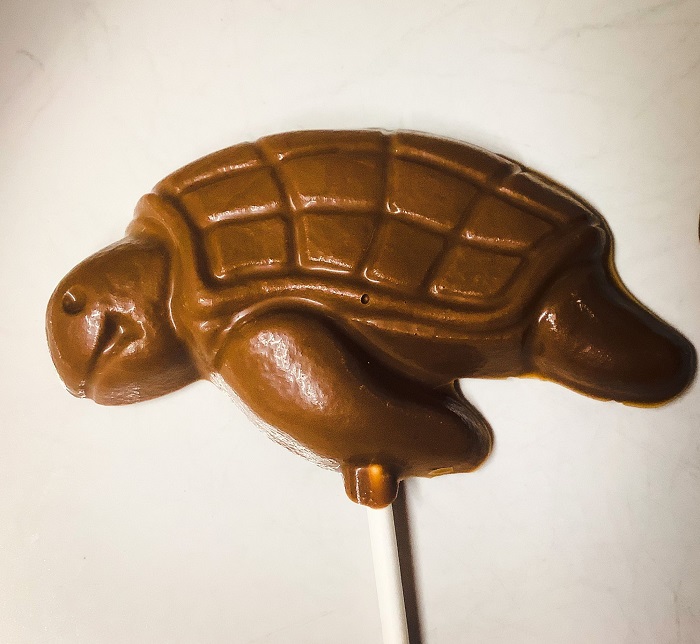 Turtle Lover Gifts - Turtle-Shaped Chocolate