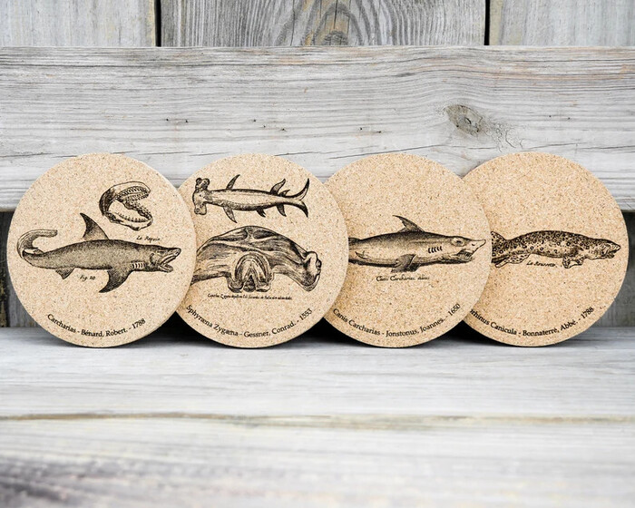 Shark Drink Coasters