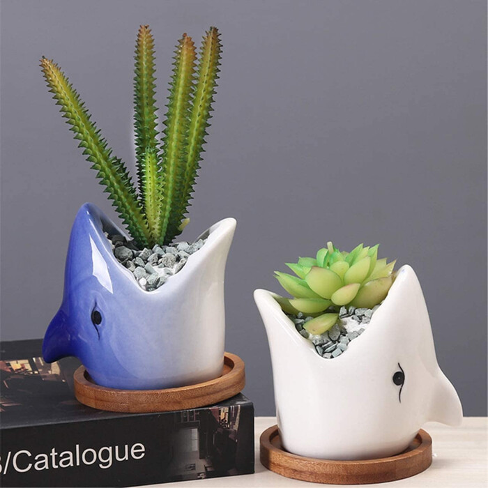 Shark Ceramic Succulent