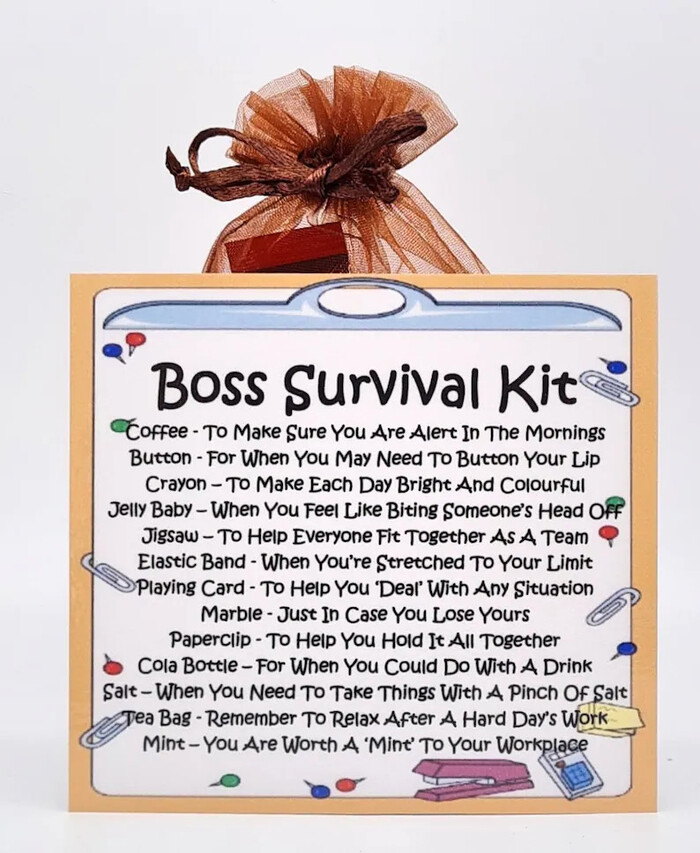 Boss Survival Kit - funny Christmas gift for boss