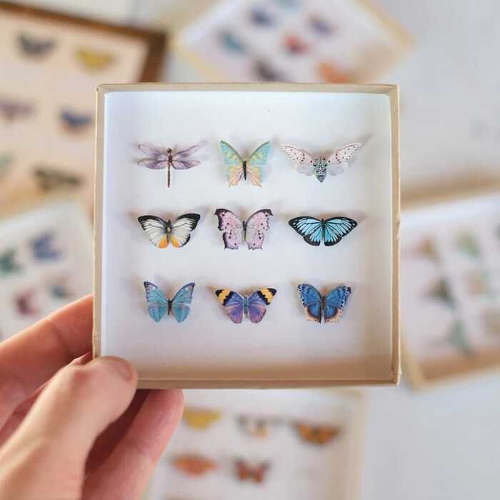 Micro Butterflies - Butterfly Gifts For Friends