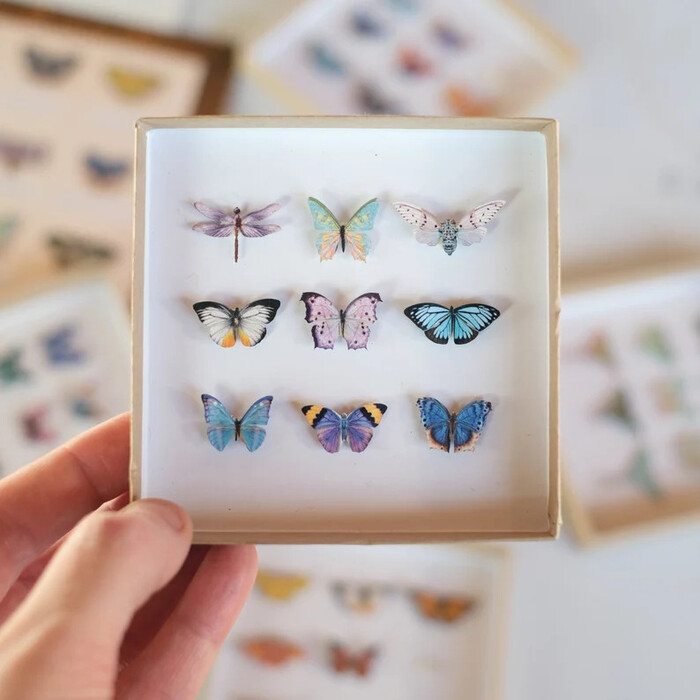 Micro Butterflies - butterfly gifts for friends