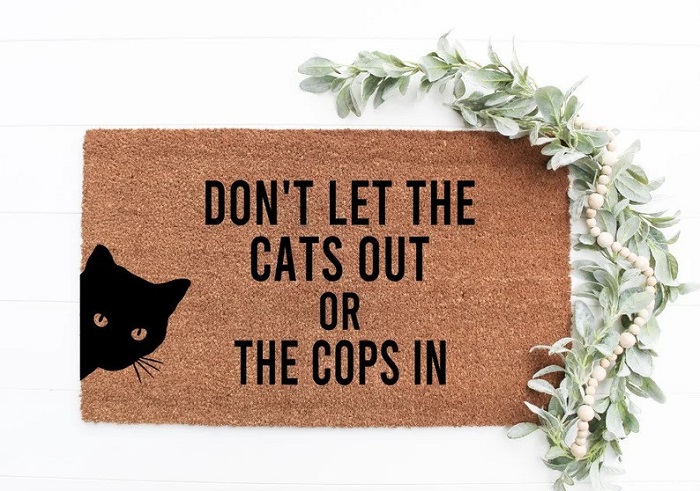 Cat-Themed Welcome Mat - cat lovers gifts