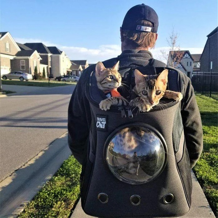 Backpack - gift ideas for cat lovers