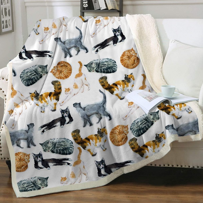 Cat Blanket - Gift Ideas For Cat Lovers