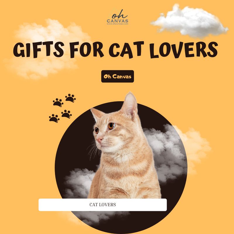 46 Greatest Gifts For Cat Lovers That They Will Treasure