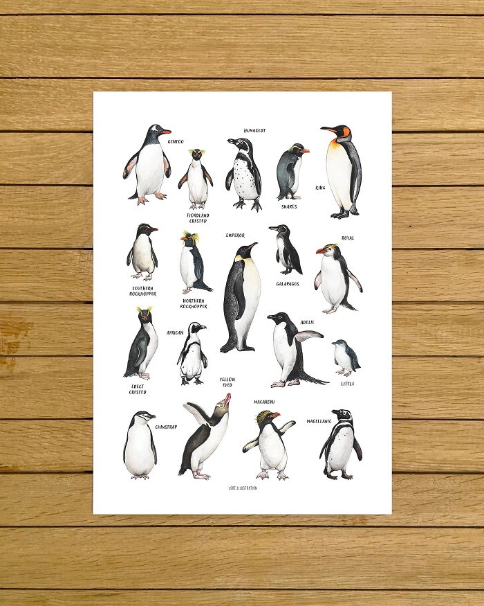 Penguin Species Poster