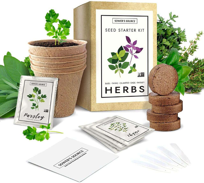 Herb Garden Seed Kit - Christmas Gifts For Grandpa Who Loves Nature 