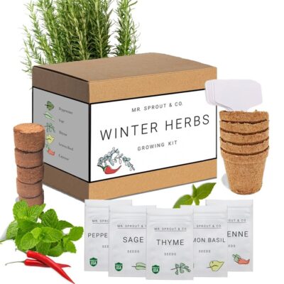 Christmas gift ideas for grandma - Indoor Garden Grow Kit