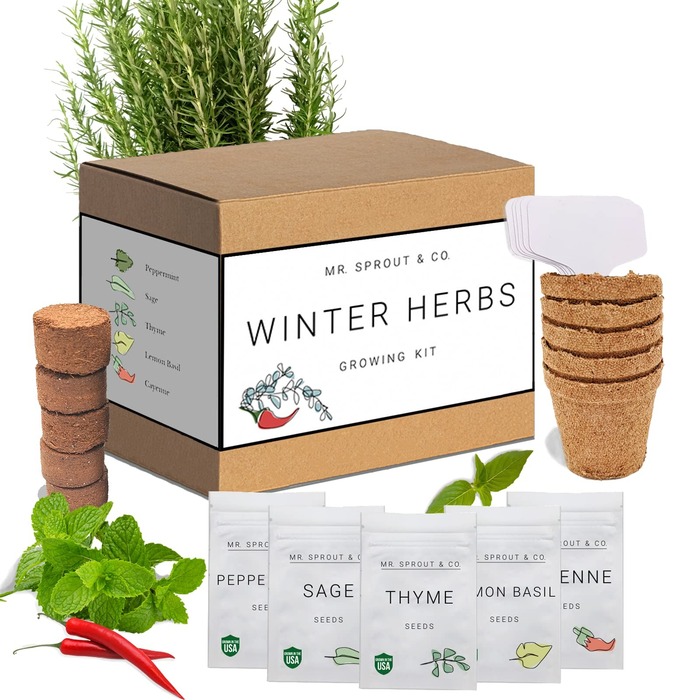 Christmas Gift Ideas For Grandma - Indoor Garden Grow Kit