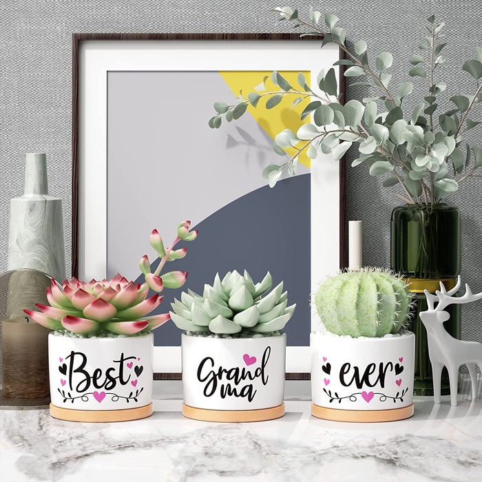 Christmas Gift Ideas For Grandma - 'Best Grandma Ever' Succulent Pots