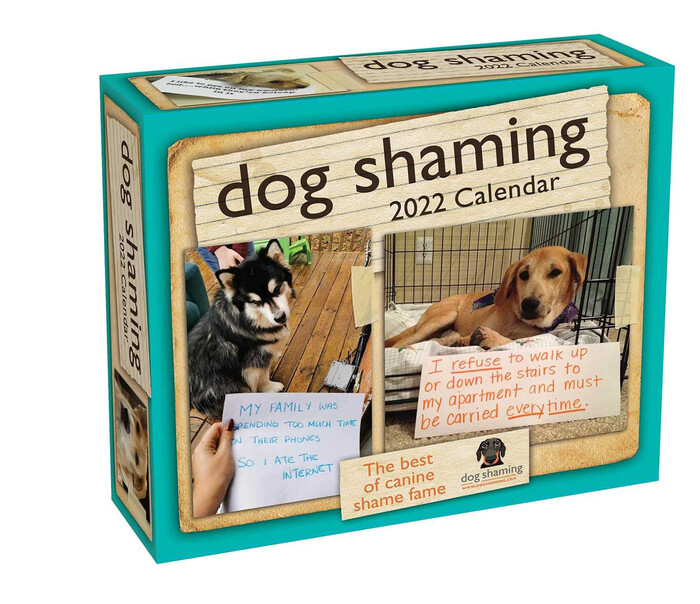 Dog Shaming Calendar - funny gift ideas for dog lovers