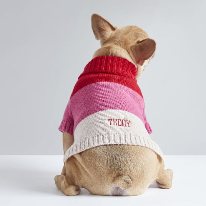 Knit Dog Sweater - Christmas gifts for dog lovers