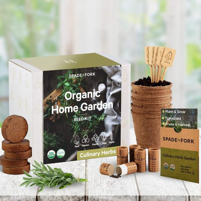 Herb Garden Seed Kit - Christmas gifts for elderly man