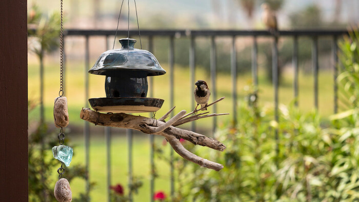 Birdfeeder - father in law Christmas gift