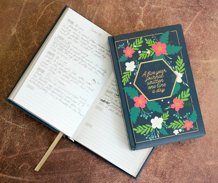 Christmas gift ideas for mother in law - One Line A Day Journal