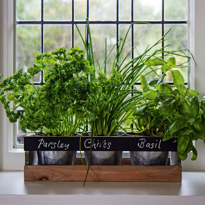 Window Planter Box - Christmas gifts for my wife