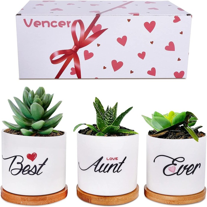 Christmas Gifts For Aunt Who Has A Green Thumb - Small Succulent Planter Pot