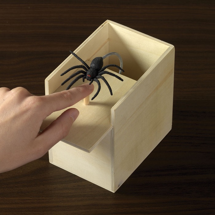 Spider In The Box - Gag gifts for Dad