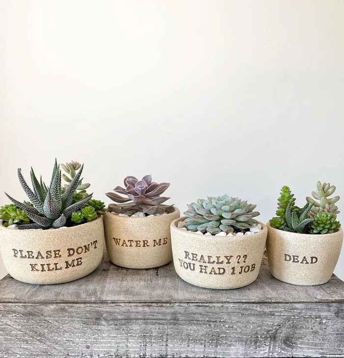 Succulent Planter Set - Christmas Present Ideas For Friends. Image Via Google.