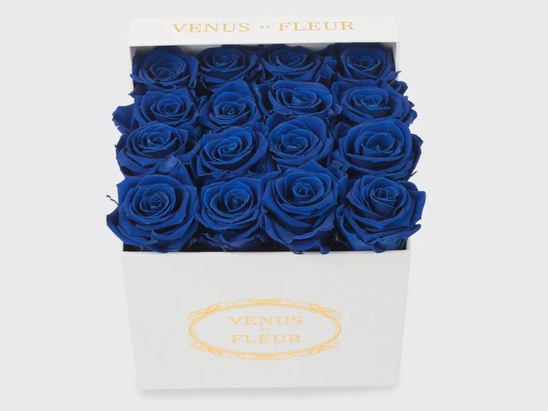 Blue Roses For Her On The 5Th Anniversary