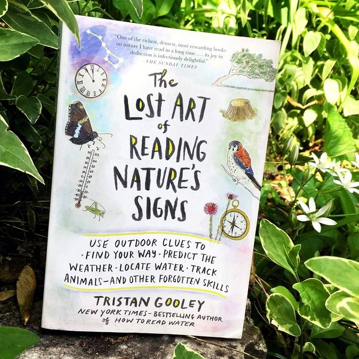 The Lost Art Of Reading Nature’s Signs Are Outdoor Gifts For Her