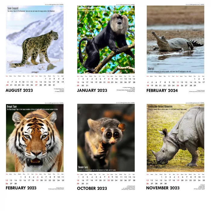 Animal Calendar