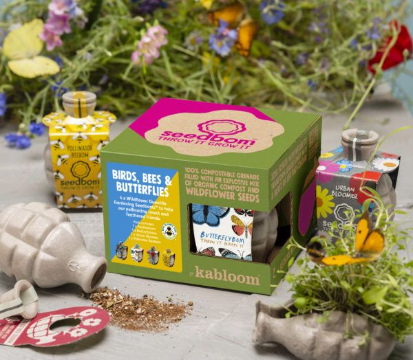 Bees, butterflies, and birds Set of seed bombs 