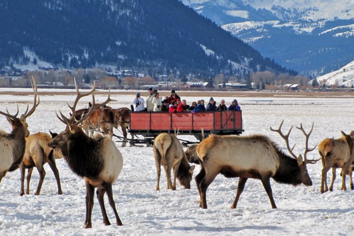 Visit a wildlife refuge