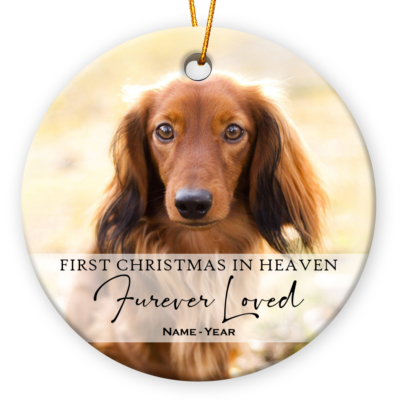 Pet Memorial Ornament Custom Sympathy Gift For Pet Owner
