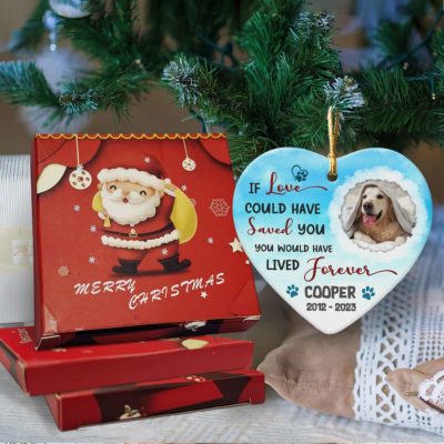 Remembrance Gifts For Loss Of Dog Photo Sympathy Pet Ornament 01