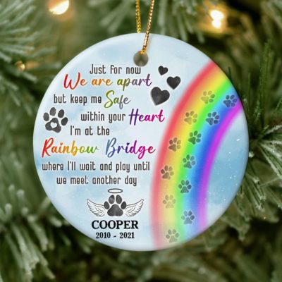 Sympathy Gift For Pet Owners Custom Photo Memorial Ornament 01