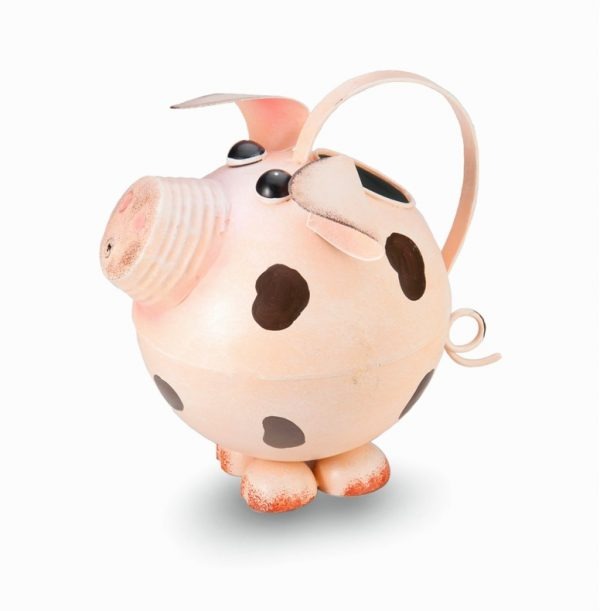 Cute Pig Watering Can: funny gifts for wife