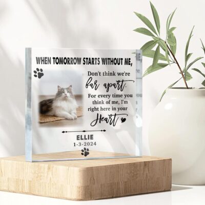 Custom Pet Memorial Photo Gift Cat Lover Acrylic Plaque