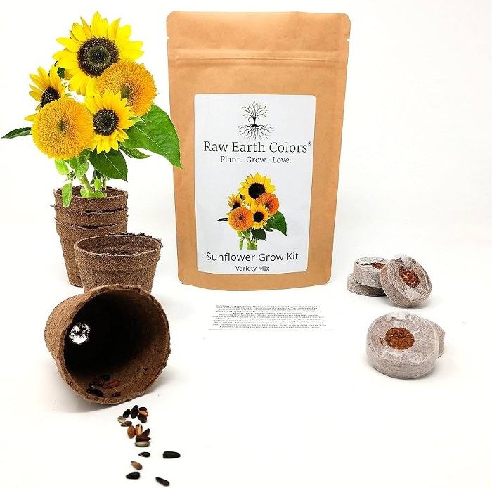 Seed-Starter Kit for Sunflowers as Gardening gifts for Mom