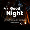165 Best Good Night Messages For Her More Than Sweet Dreams